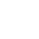 BICICLETAS RECUMBENT